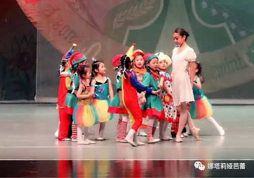 少儿童话芭蕾舞剧《白雪王后之索菲亚历险记》1月6日演出圆满成功