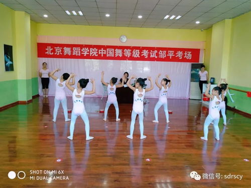 舞动少年梦，艺考新篇章——北京舞蹈学院教材少儿舞蹈考级邹平站顺利推进